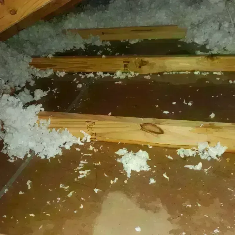 Attic Water Damage in Manitou Springs, CO