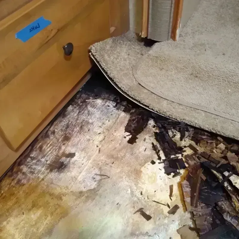 Wood Floor Water Damage in Manitou Springs, CO